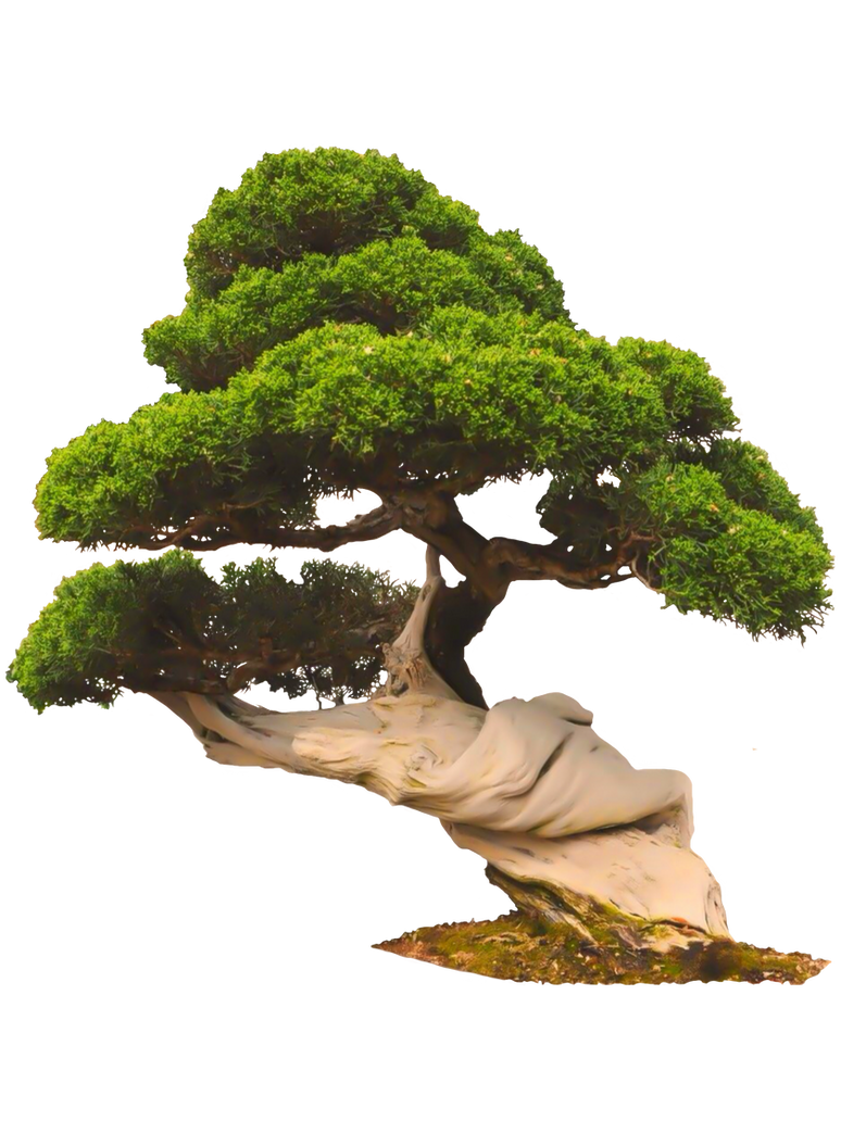tree1