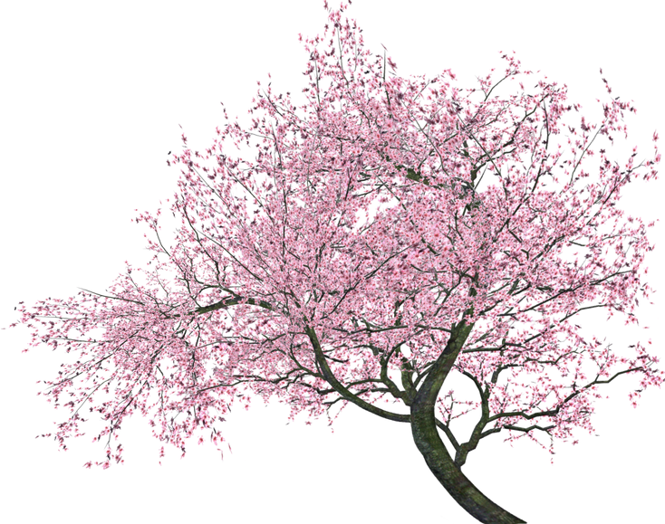 tree1